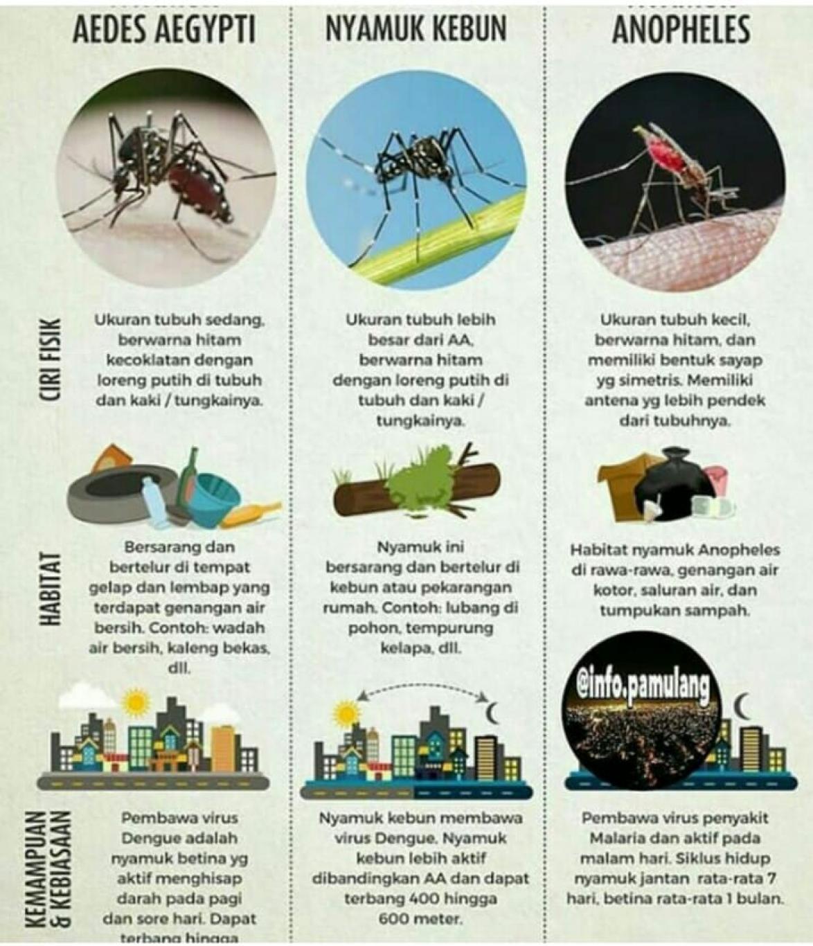 DESA POGALAN _ WASPADA DEMAM BERDARAH - Website Desa Pogalan